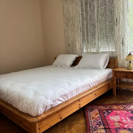 Historical Center Flat Apartman *